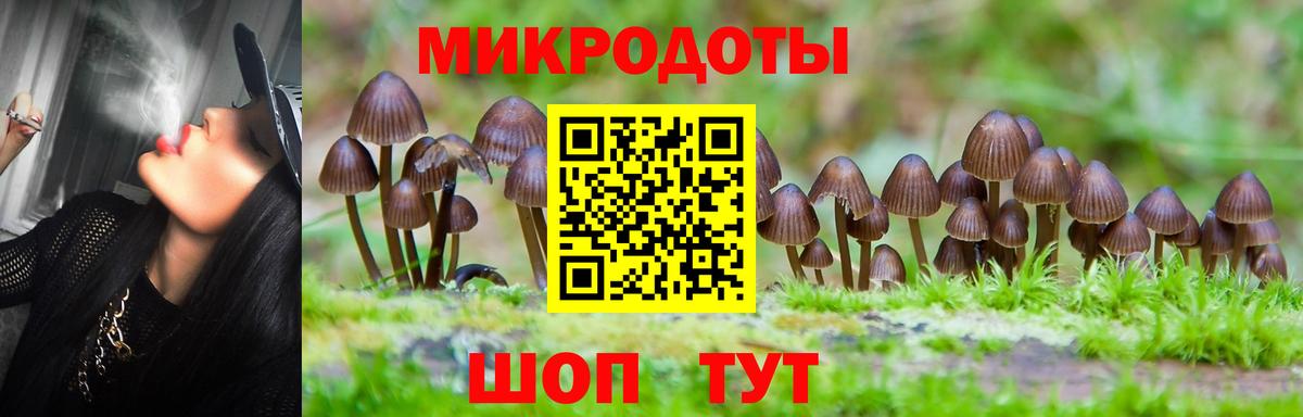 Галлюциногенные грибы Magic Shrooms  Вход с VPN  Краснознаменск  Галлюциногенные грибы MAGIC MUSHROOMS 